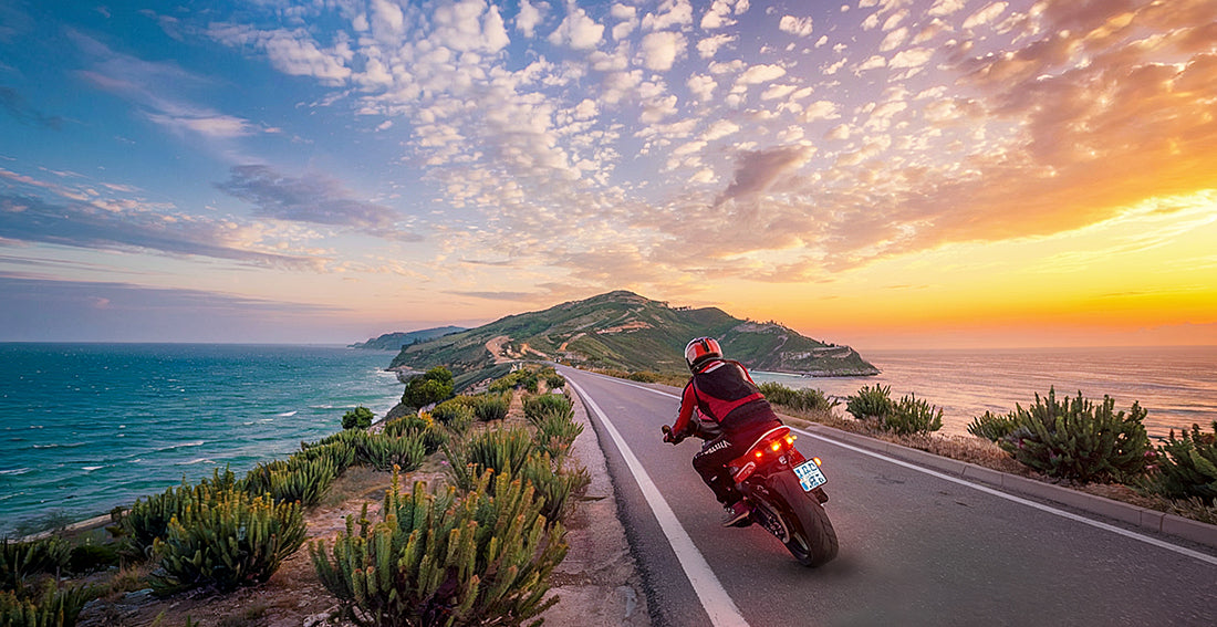 Motorcycle Anti-Theft System